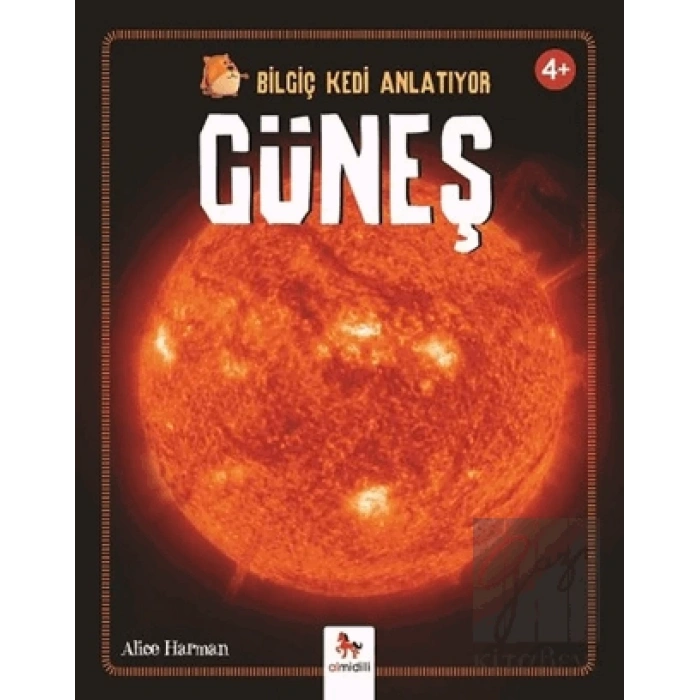 Bilgiç Kedi Anlatıyor - Güneş