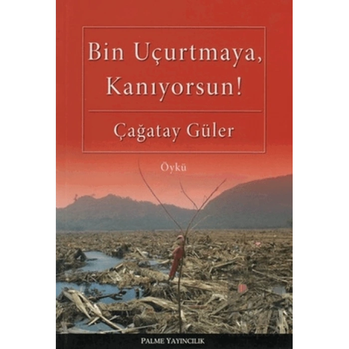 Bin Uçurtmaya, Kanıyorsun!