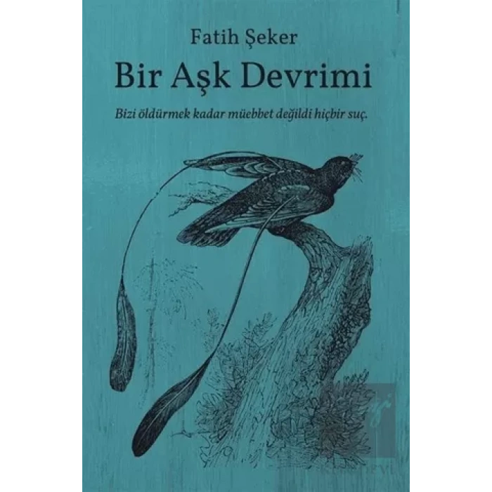 Bir Aşk Devrimi