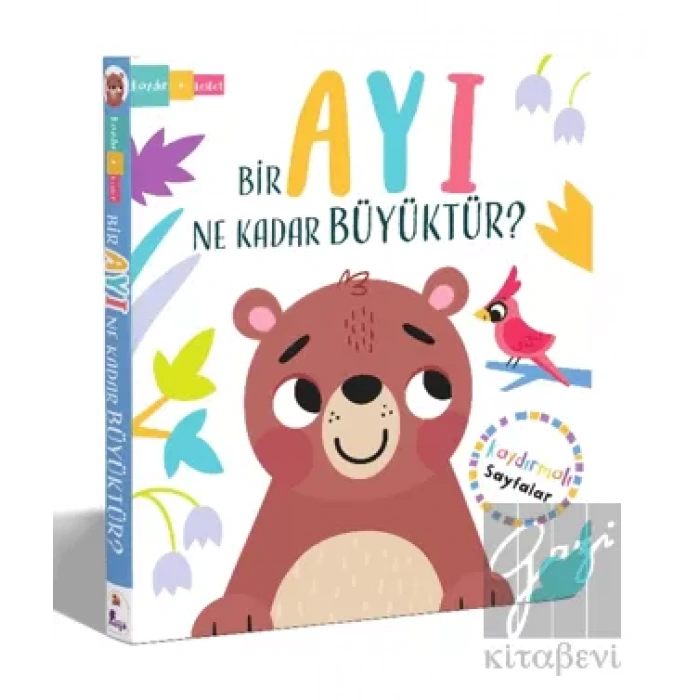 Bir Ayı Ne Kadar Büyüktür? – Kaydır + Keşfet