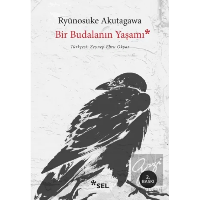 Bir Budalanın Yaşamı