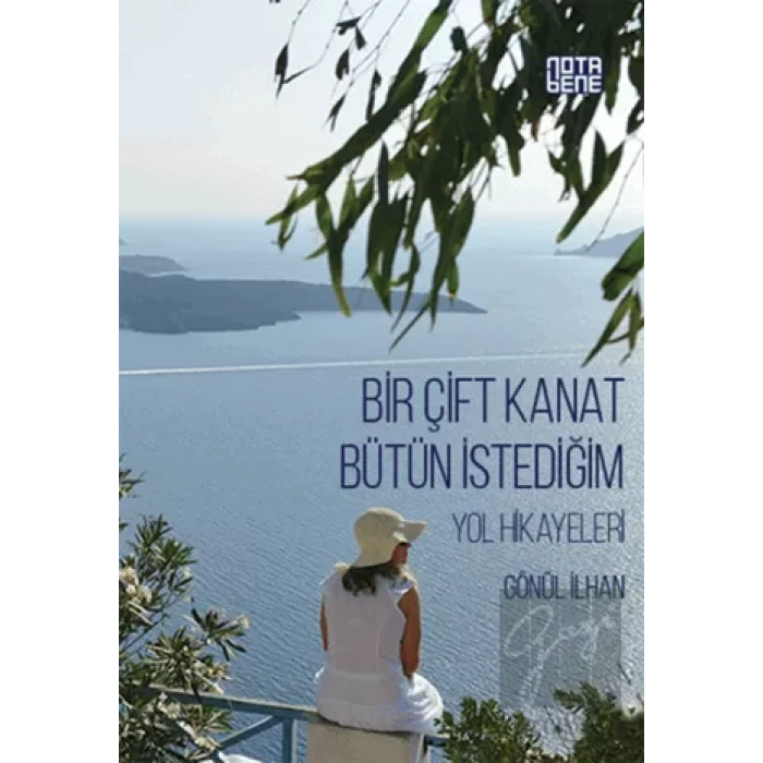 Bir Çift Kanat Bütün İstediğim
