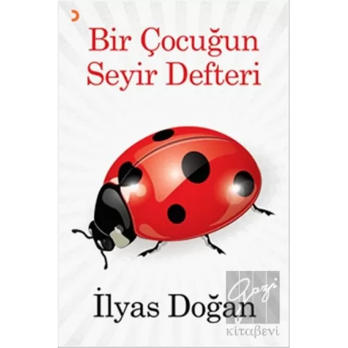 Bir Çocuğun Seyir Defteri