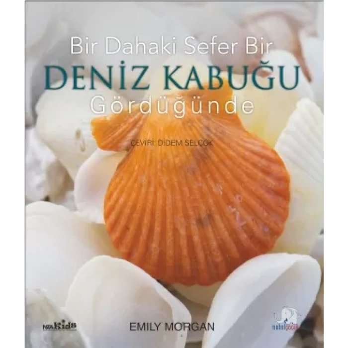 Bir Dahaki Sefer DENİZ KABUĞU GÖRDÜĞÜNDE - Next Time You See a Seashell