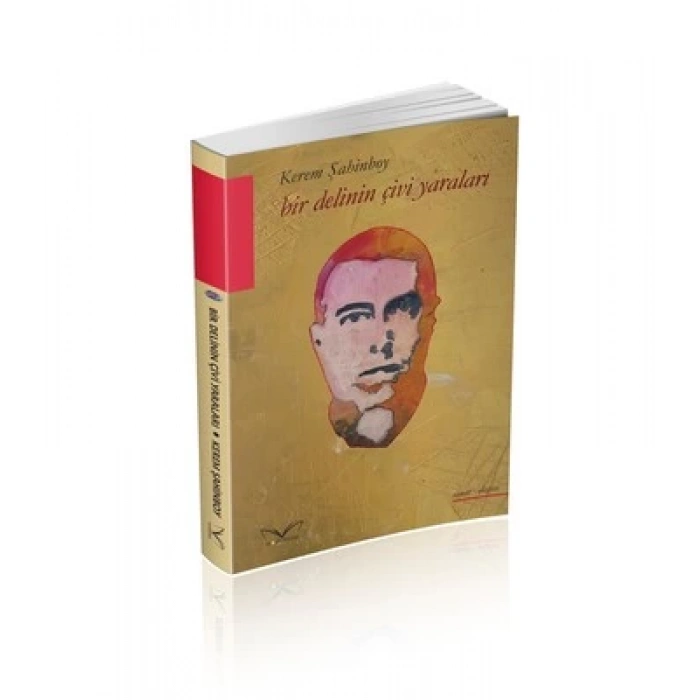 Bir Delinin Çivi Yaraları