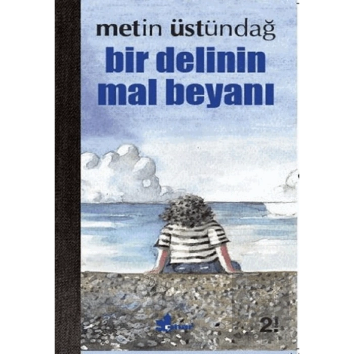 Bir Delinin Mal Beyanı