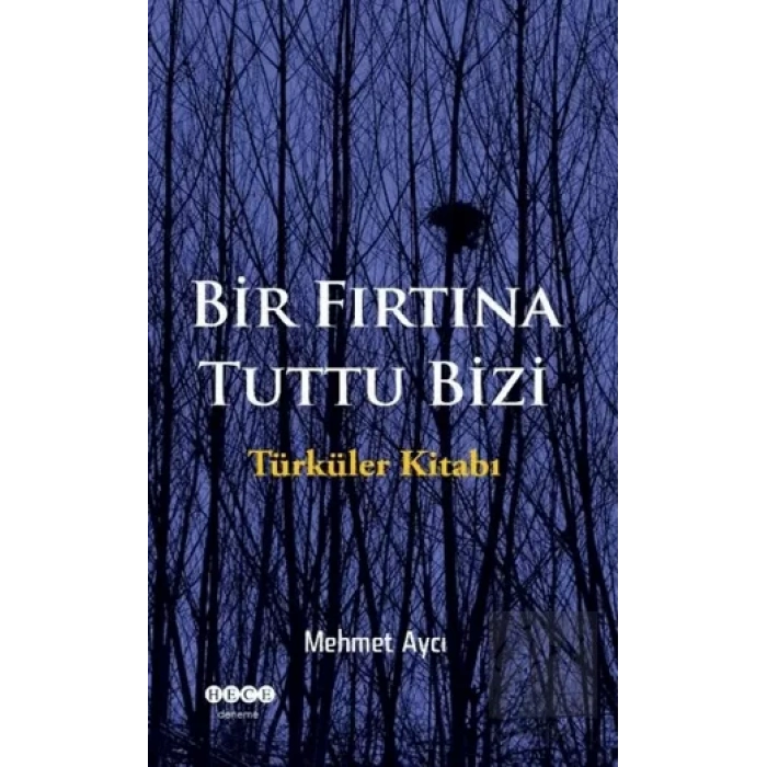 Bir Fırtına Tuttu Bizi