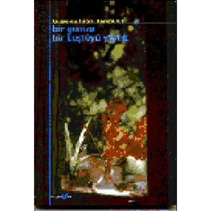 Bir Gamze Bir Kuştüyü Yastık