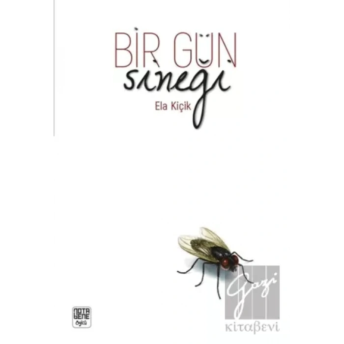 Bir Gün Sineği