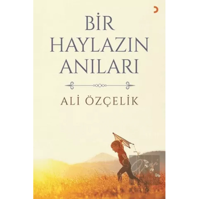 Bir Haylazın Anıları