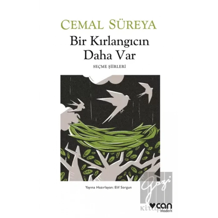 Bir Kırlangıcın Daha Var