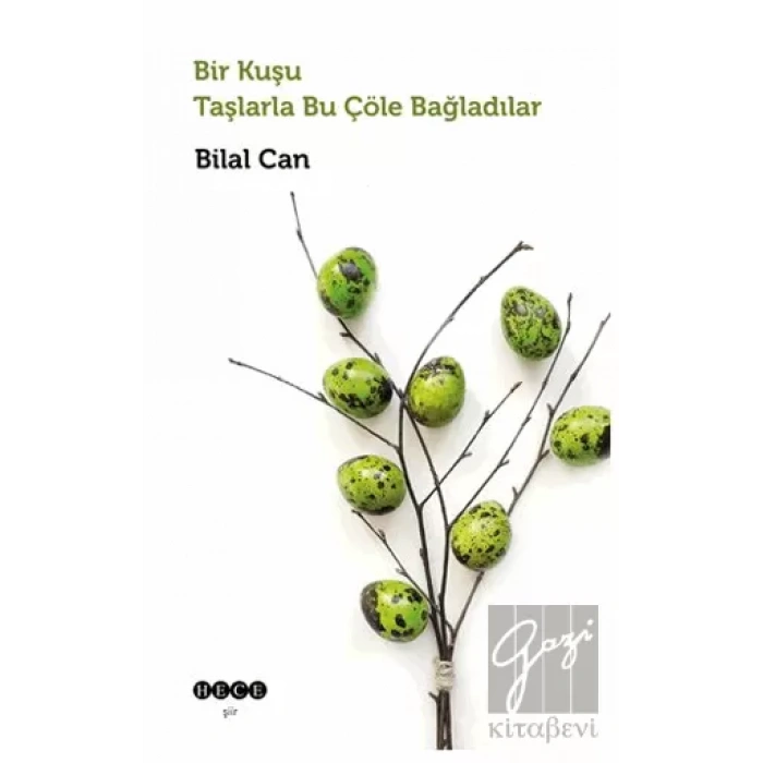 Bir Kuşu Taşlarla Bu Çöle Bağladılar