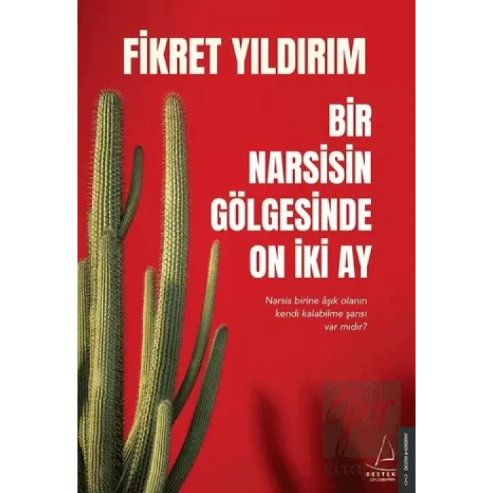 Bir Narsisin Gölgesinde On İki Ay