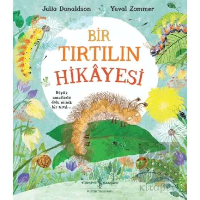 Bir Tırtılın Hikayesi