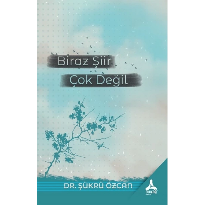 Biraz Şiir Çok Değil