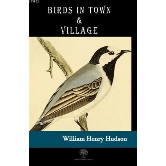 Birds in Town and Village