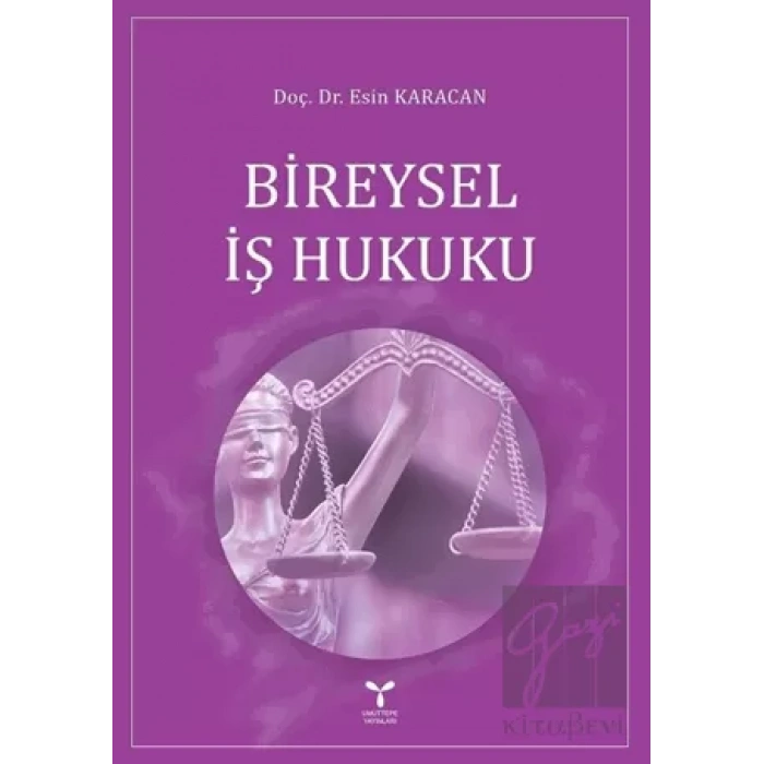Bireysel İş Hukuku