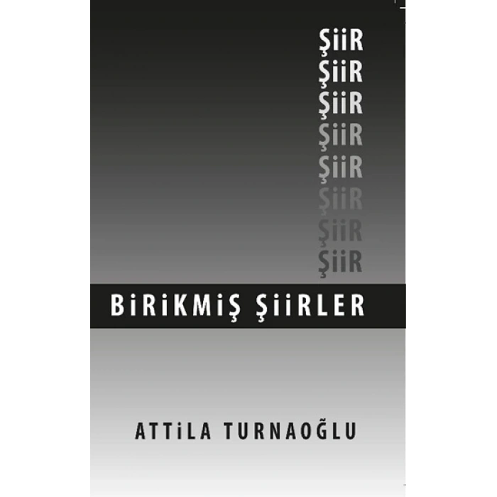 Birikmiş Şiirler
