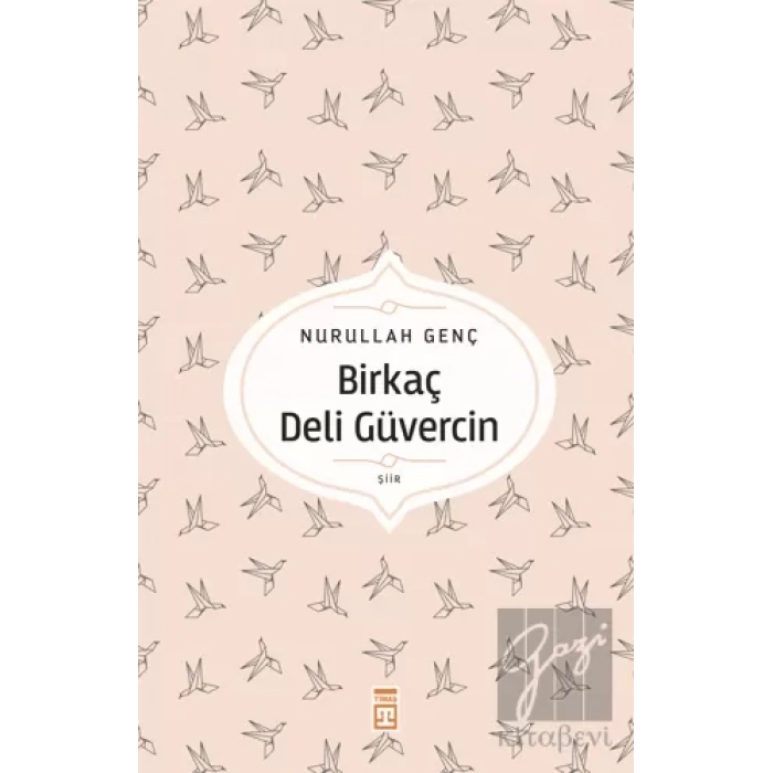 Birkaç Deli Güvercin