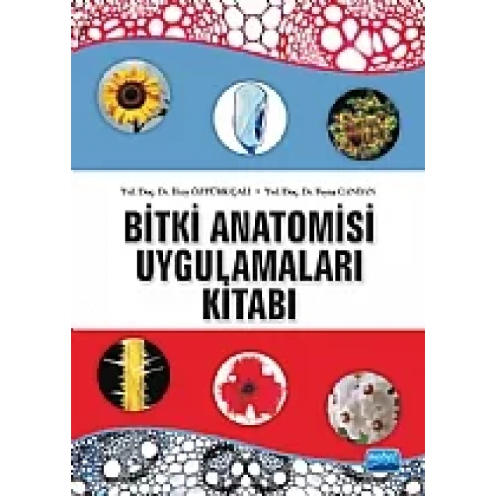 Bitki Anatomisi ve Uygulamaları Kitabı