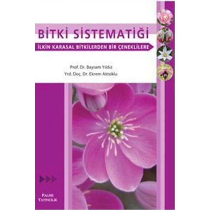 BİTKİ SİSTEMATİĞİ - PALME