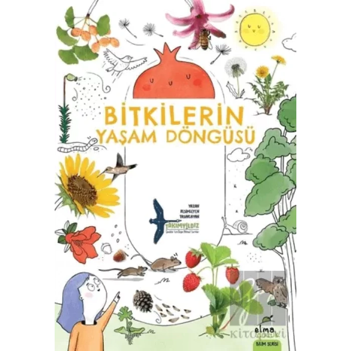 Bitkilerin Yaşam Döngüsü