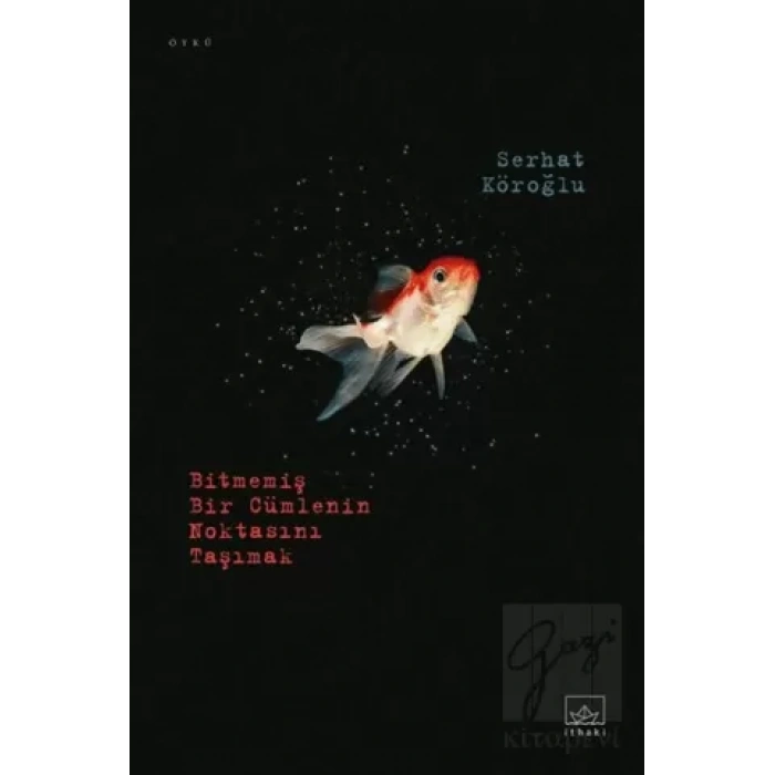 Bitmemiş Bir Cümlenin Noktasını Taşımak