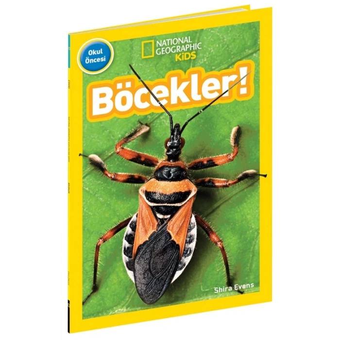 Böcekler