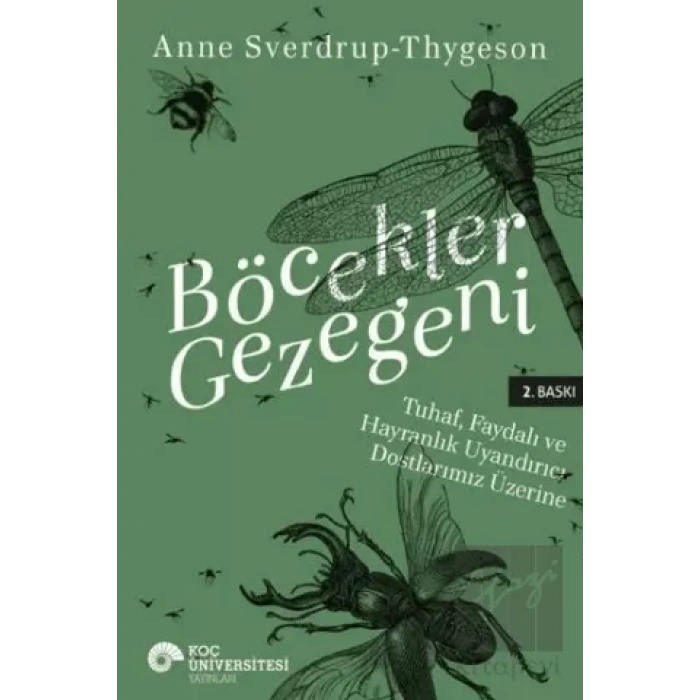Böcekler Gezegeni: Tuhaf Yararlı ve Hayranlık Uyandırıcı Dostlarımız Üzerine