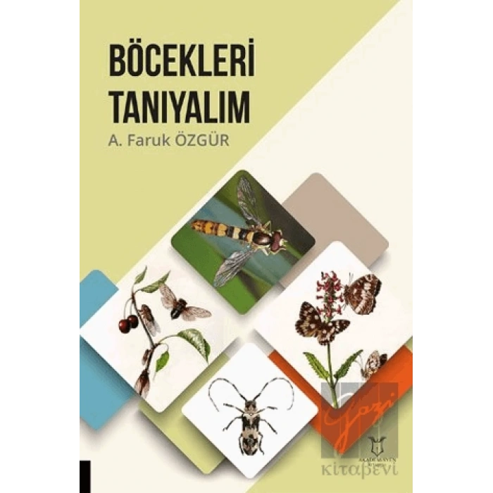 Böcekleri Tanıyalım