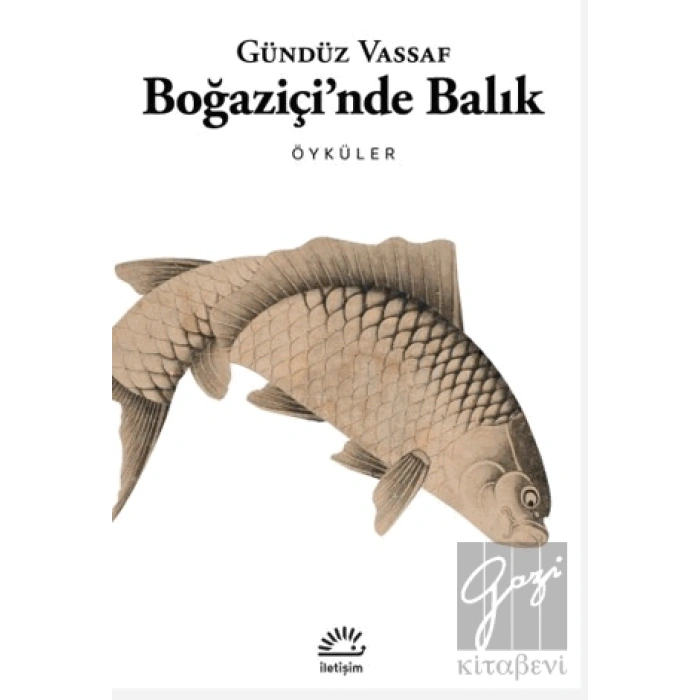 Boğaziçinde Balık