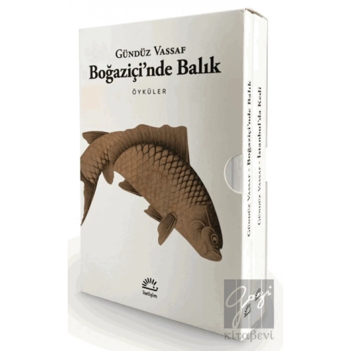 Boğaziçinde Balık - İstanbulda Kedi (2 Kitap Kutulu Set)