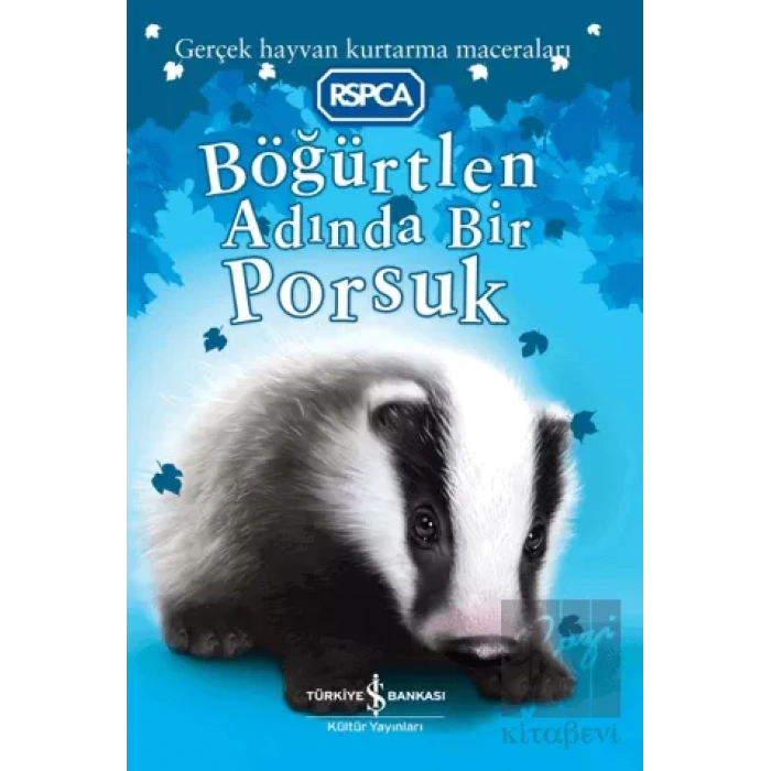 Böğürtlen Adında Bir Porsuk