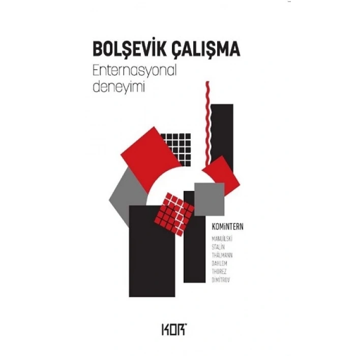 Bolşevik Çalışma Enternasyonal Deneyimi