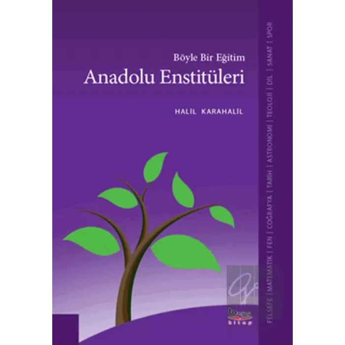 Böyle Bir Eğitim Anadolu Enstitüleri