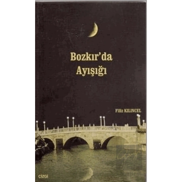 Bozkır’da Ayışığı