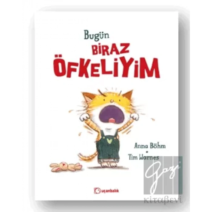 Bugün Biraz Öfkeliyim