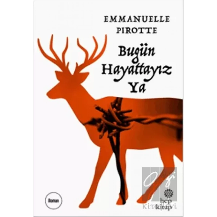Bugün Hayattayız Ya