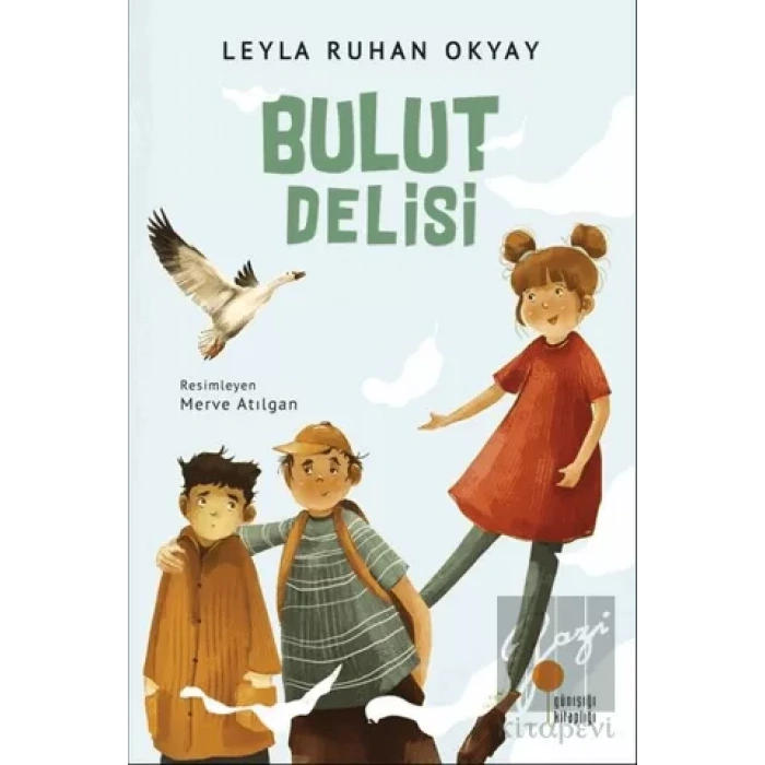 Bulut Delisi