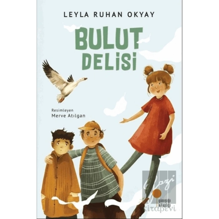 Bulut Delisi
