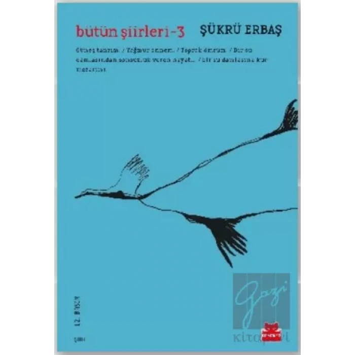 Bütün Şiirleri - 3