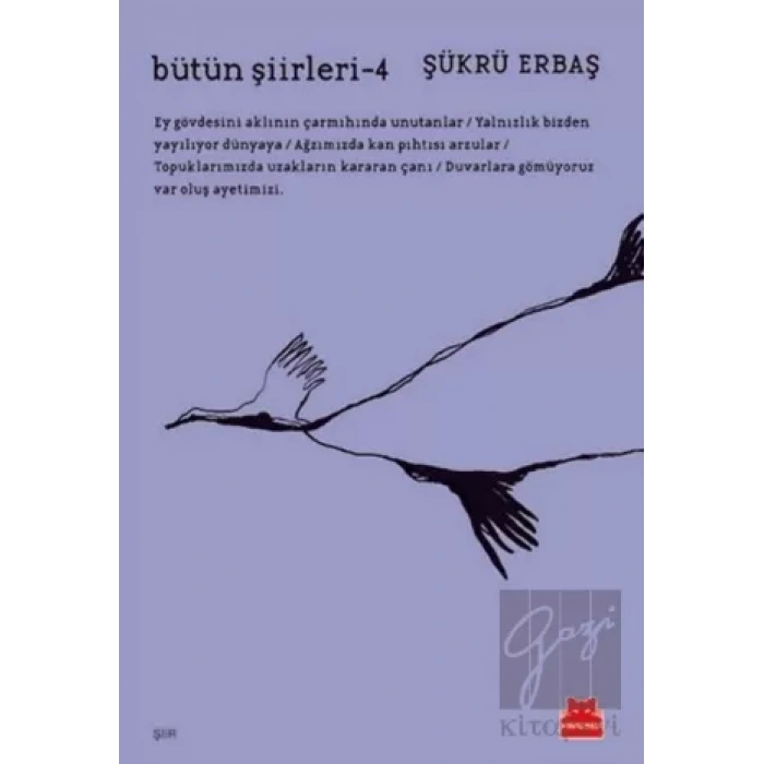 Bütün Şiirleri 4
