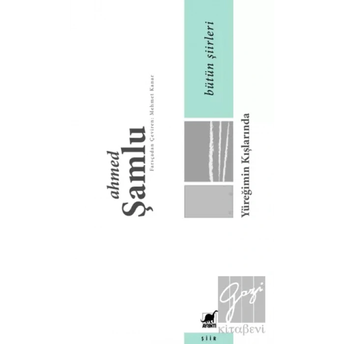 Yüreğimin Kışlarında - Bütün Şiirleri