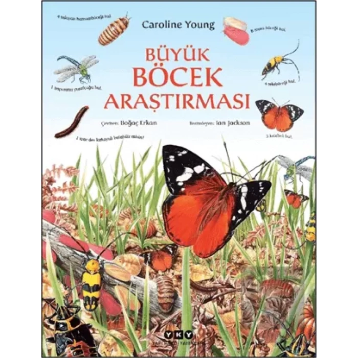 Büyük Böcek Araştırması