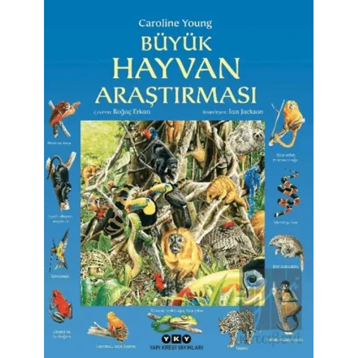 Büyük Hayvan Araştırması