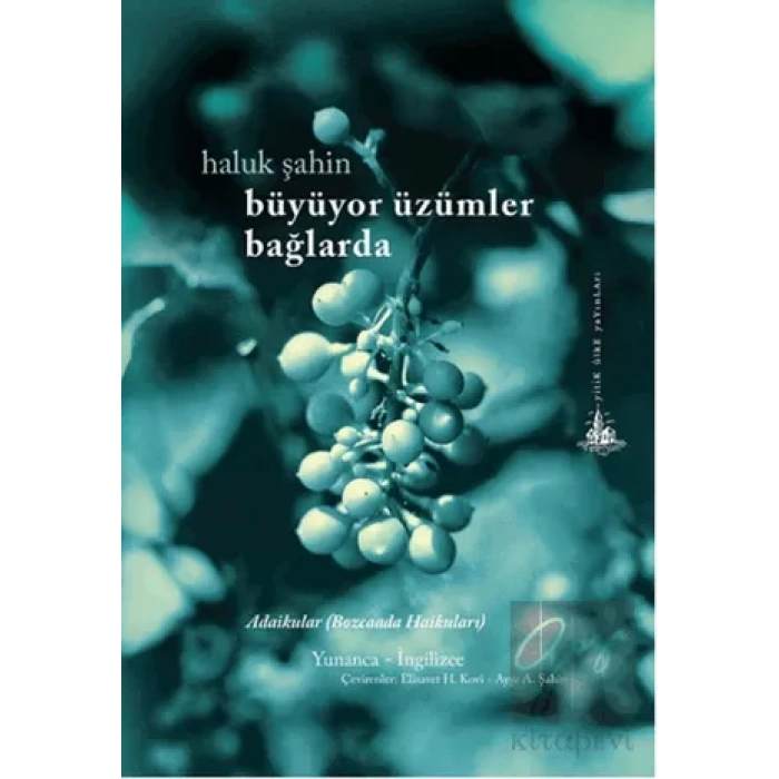 Büyüyor Üzümler Bağlarda Bozcaada Haikuları