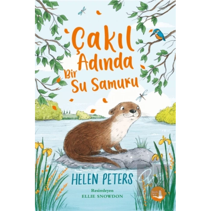 Çakıl Adında Bir Susamuru