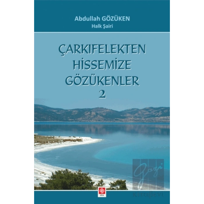 Çarkıfelekten Hissemize Gözükenler 2