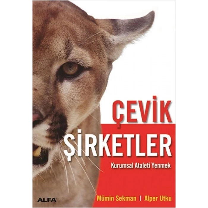 Çevik Şirketler