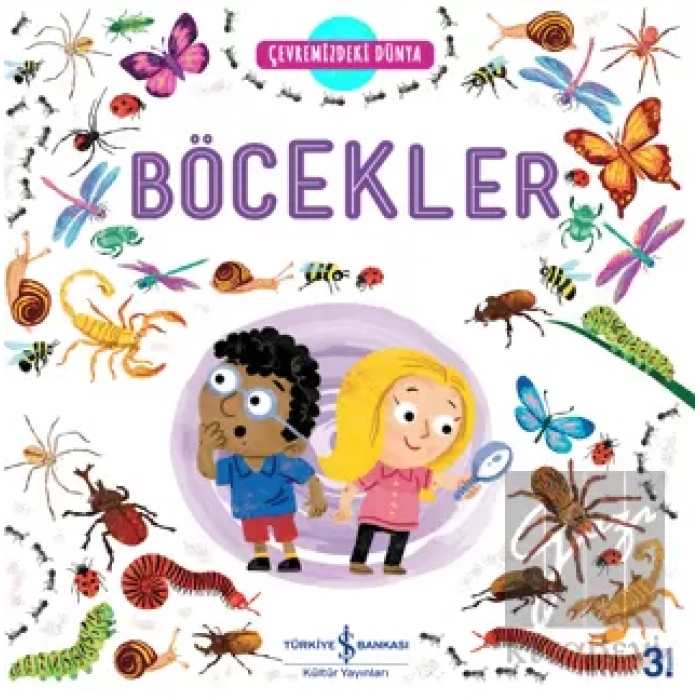 Çevremizdeki Dünya Böcekler